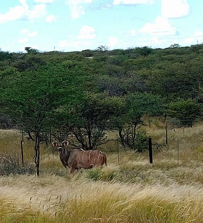Der erste Tag in Namibia