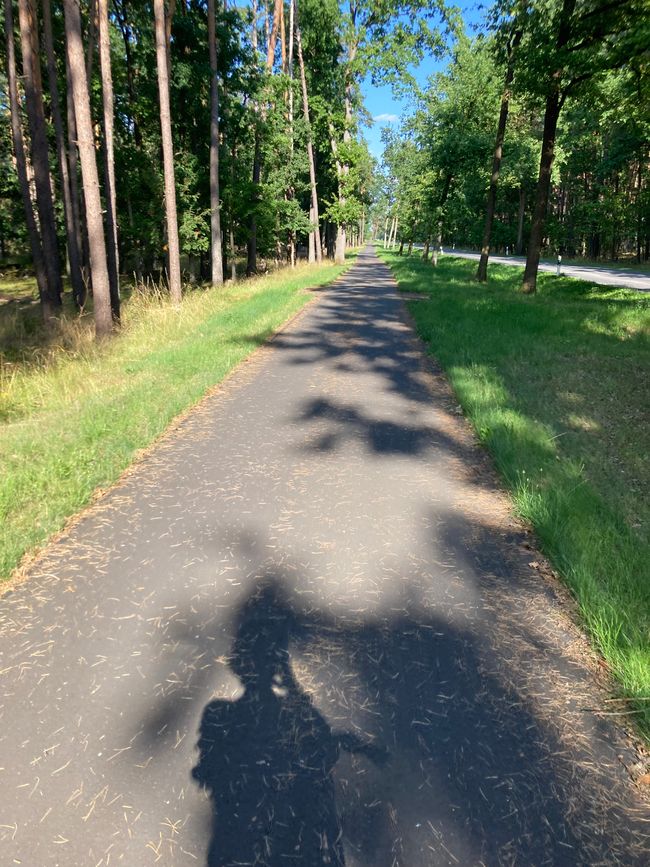 Revival 2.0
mit dem Velo unterwegs im
Löwenberger Land