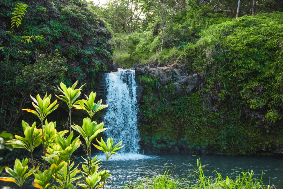 Maui