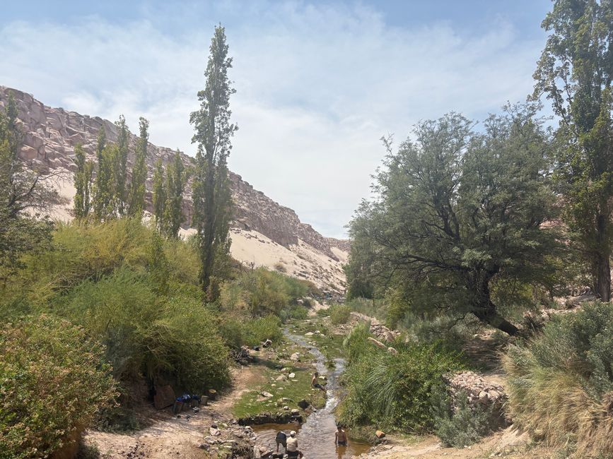 Valle di Jere - una delle molte oasi verdi nell'Atacama