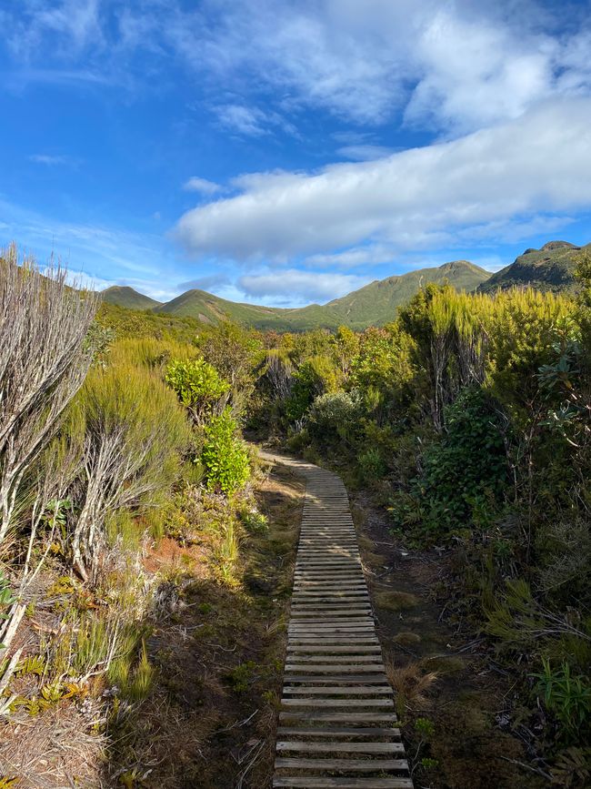 Egmont Taranaki Track