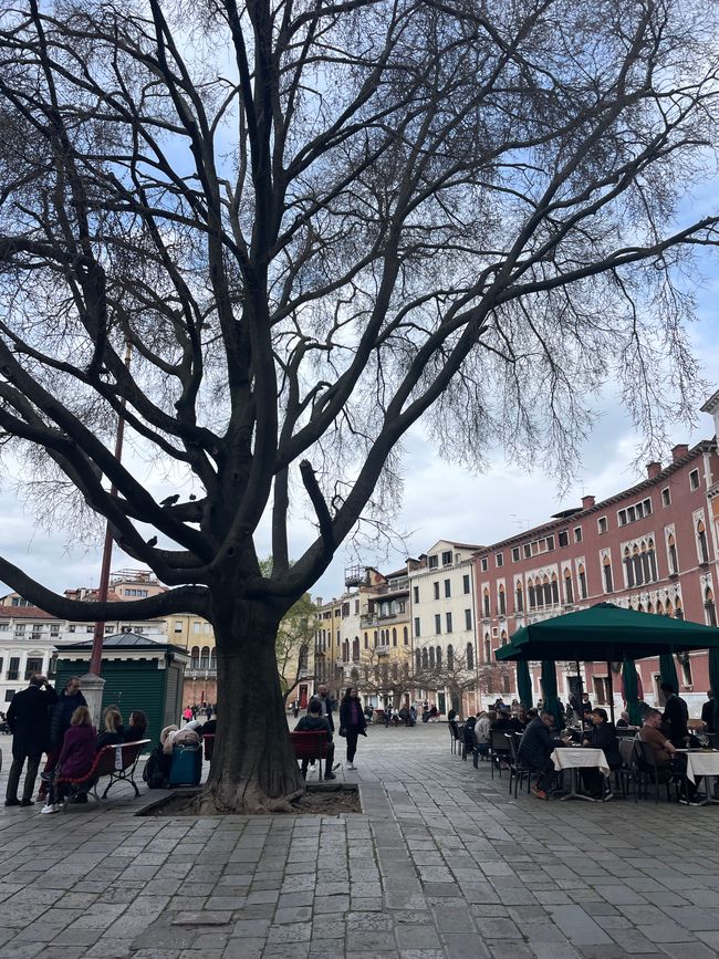Campo San Polo