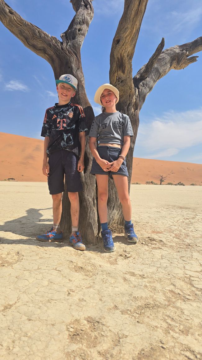 Sand, Sand und nochmal Sand