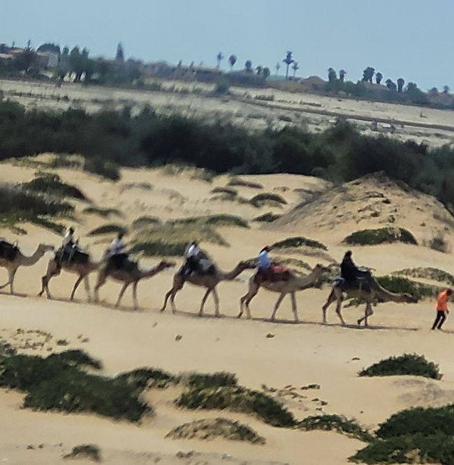 Jour 146 et 147/148 sur 175 : Croisière autour du monde : Walvis Bay/Namibie et deux jours en mer