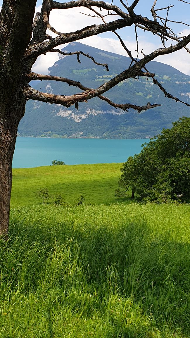 Krattigen Schweiz
