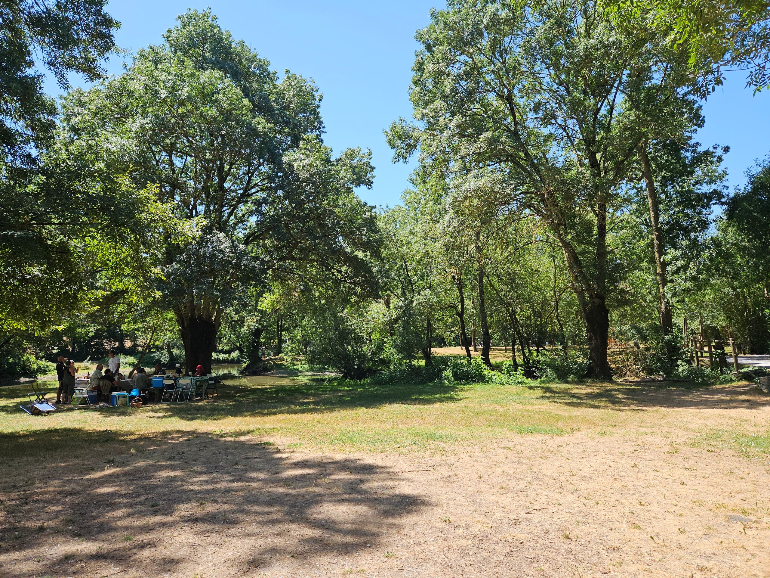 Les Français se retrouvent le samedi pour manger dans le parc