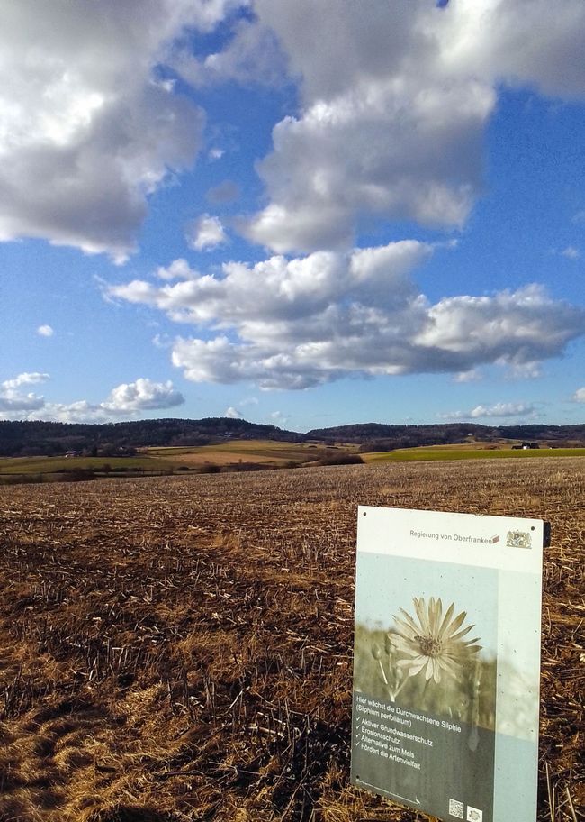 Wir bauen ein Fundament - Horizonte entdecken, Werte checken