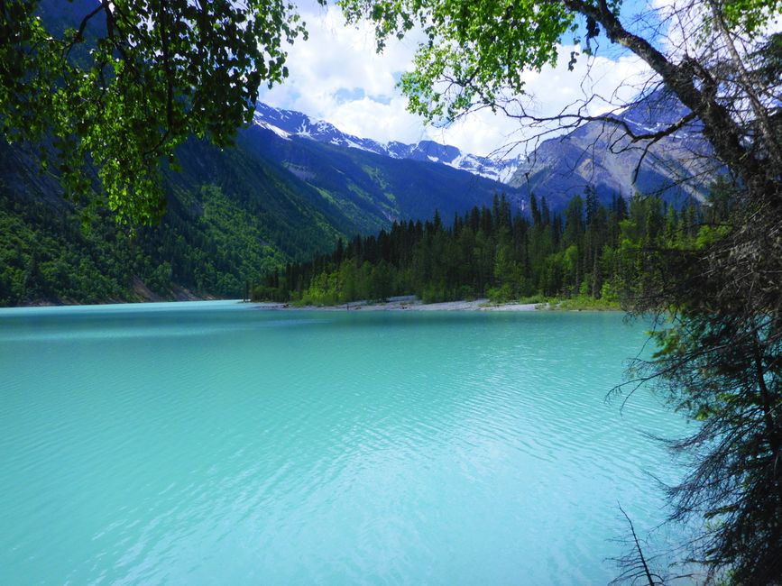 So eine tolle Farbe 