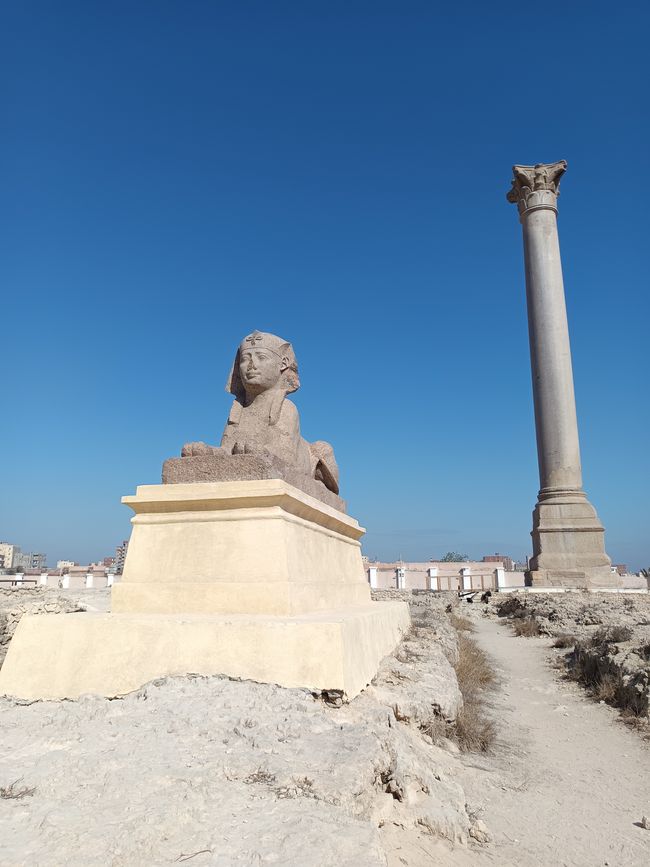 Alexandria