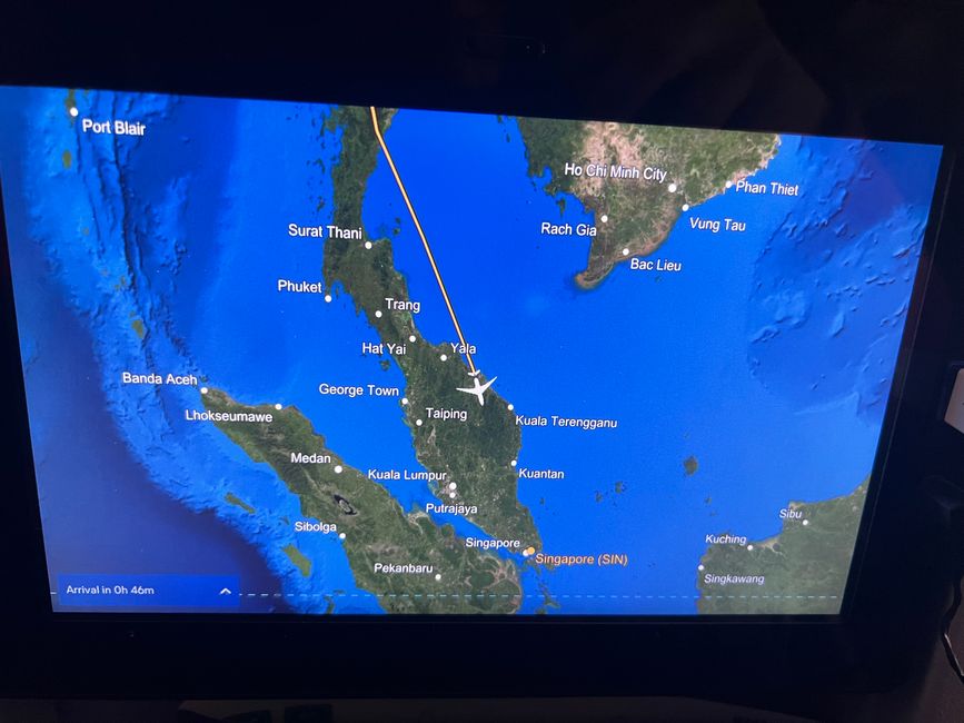 The long flight