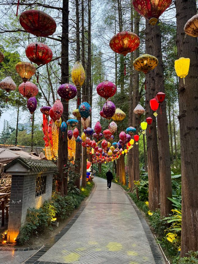 Part 2: Xi'an and Chengdu 🐼