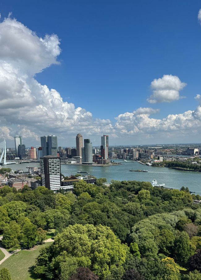 Aussichts Turm in Rotterdam zur Stadt