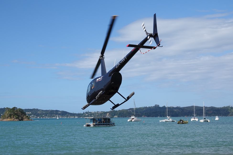 From Whangārei Heads to the Bay of Islands....