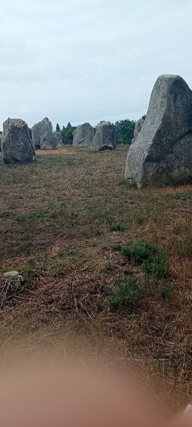 Steinreihen von Carnac