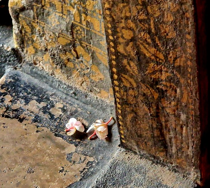 Luang Prabang - worauf kommt es an?