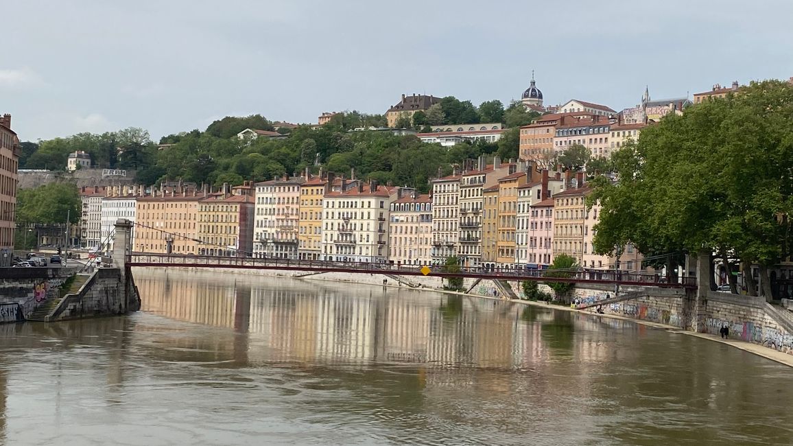 Lione