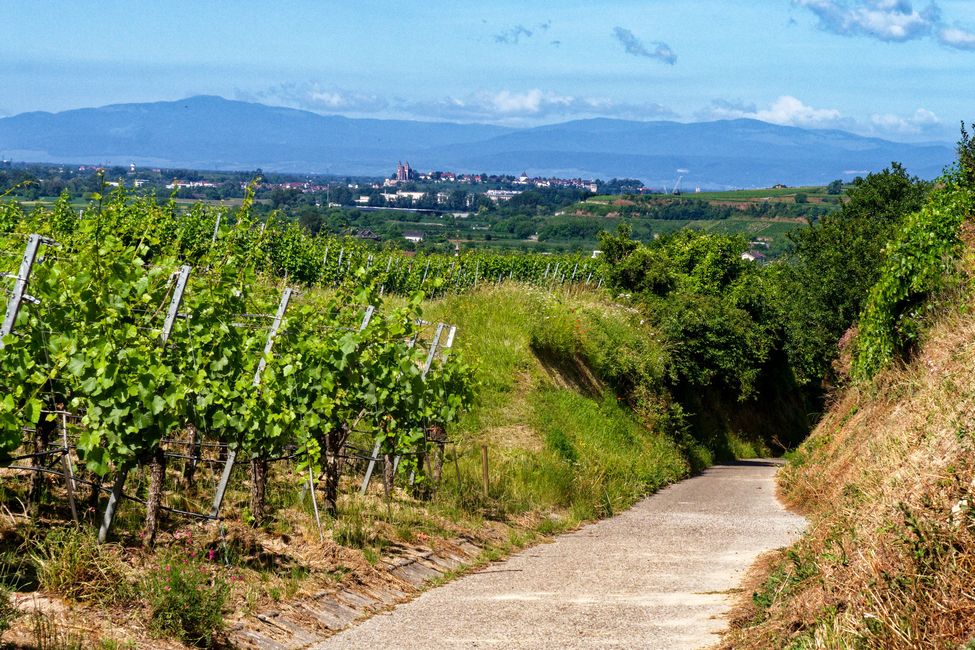 A piedi sul Teschio
