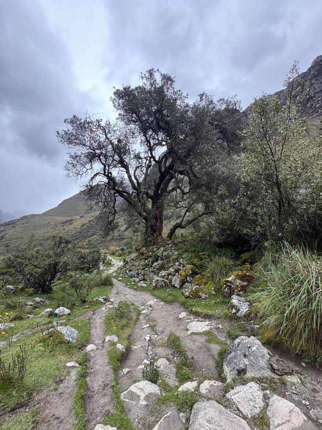 Huaraz