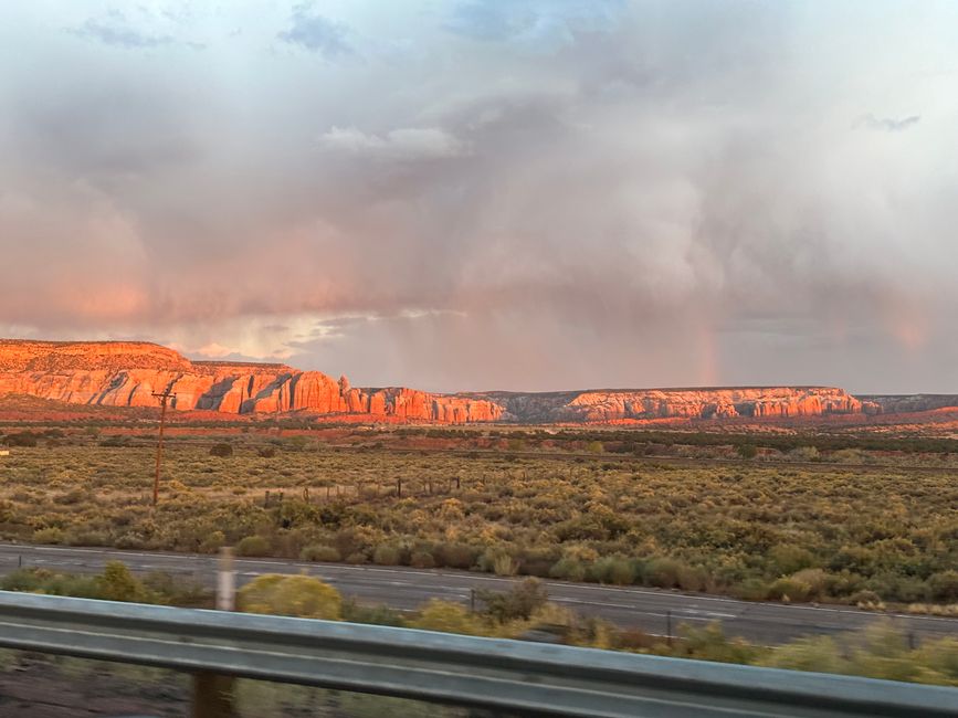 Arizona/ New Mexico/ Petrified Forest/ White Sands