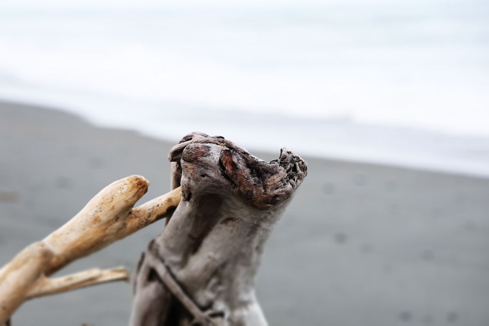 An der West Coast weiter Richtung Süden