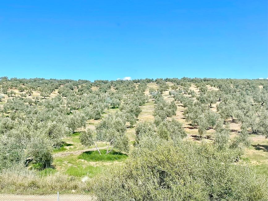 unendlich großen, landwirtschaftlich genutzen Flächen ...
