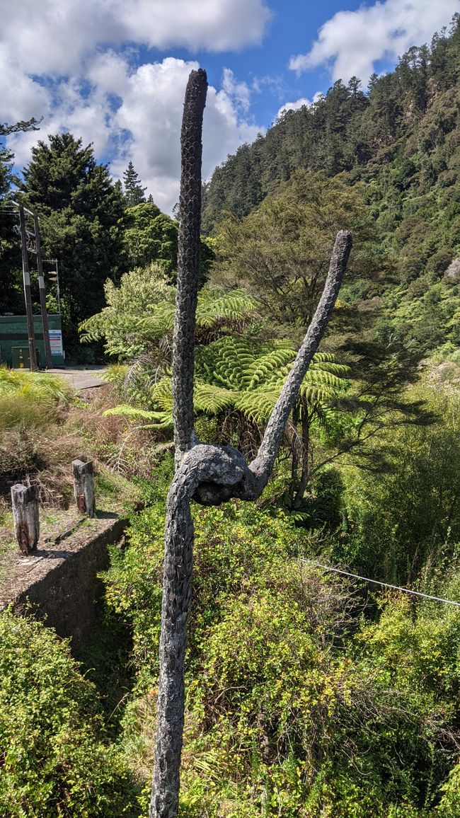 Kharangahake Gorge / Waihi Beach