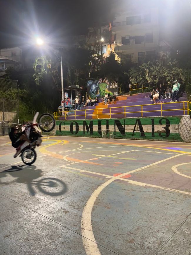 Medellín- die Stadt, in der alles erblüht?