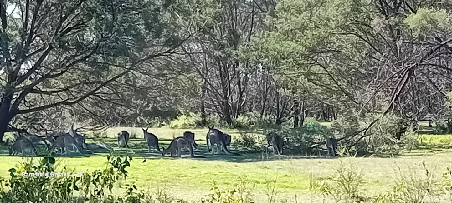 Tarra Bulga & Raymond Island