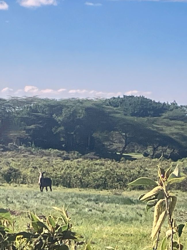 Kilimanjaro y el Parque Nacional Arusha