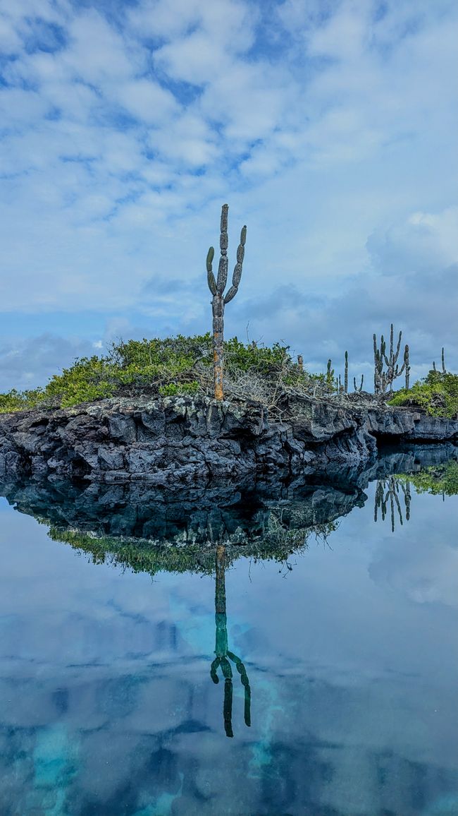 Galapagos Islands