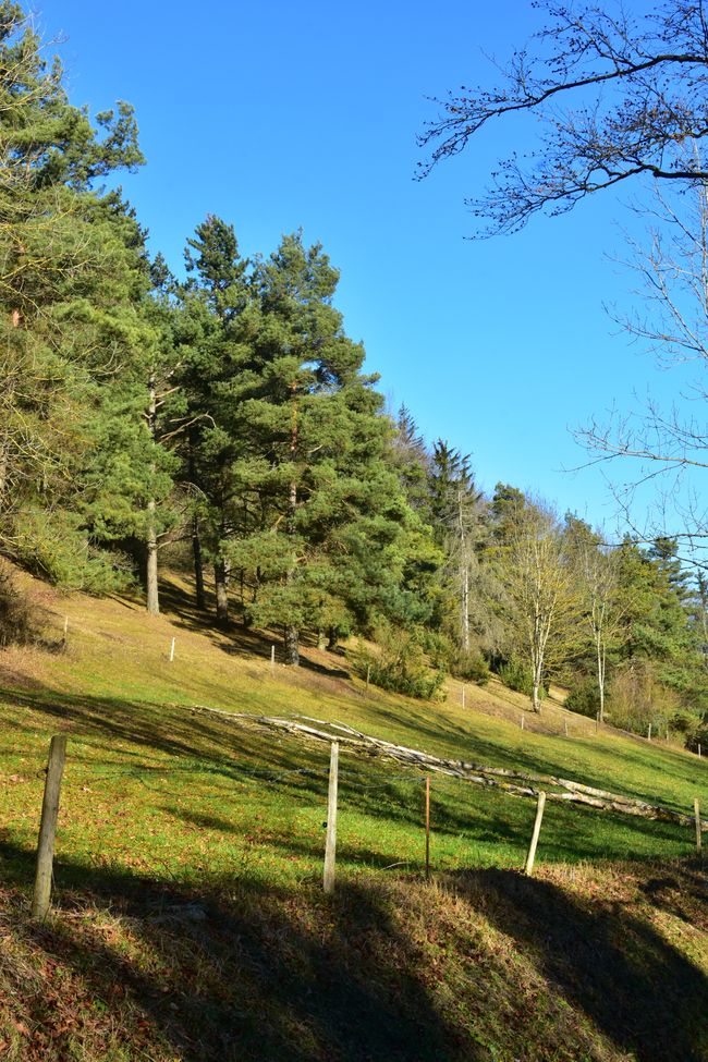 R E I T E R L E S   K A P E L L E - Wallfahrt, Legende und Wanderparadies