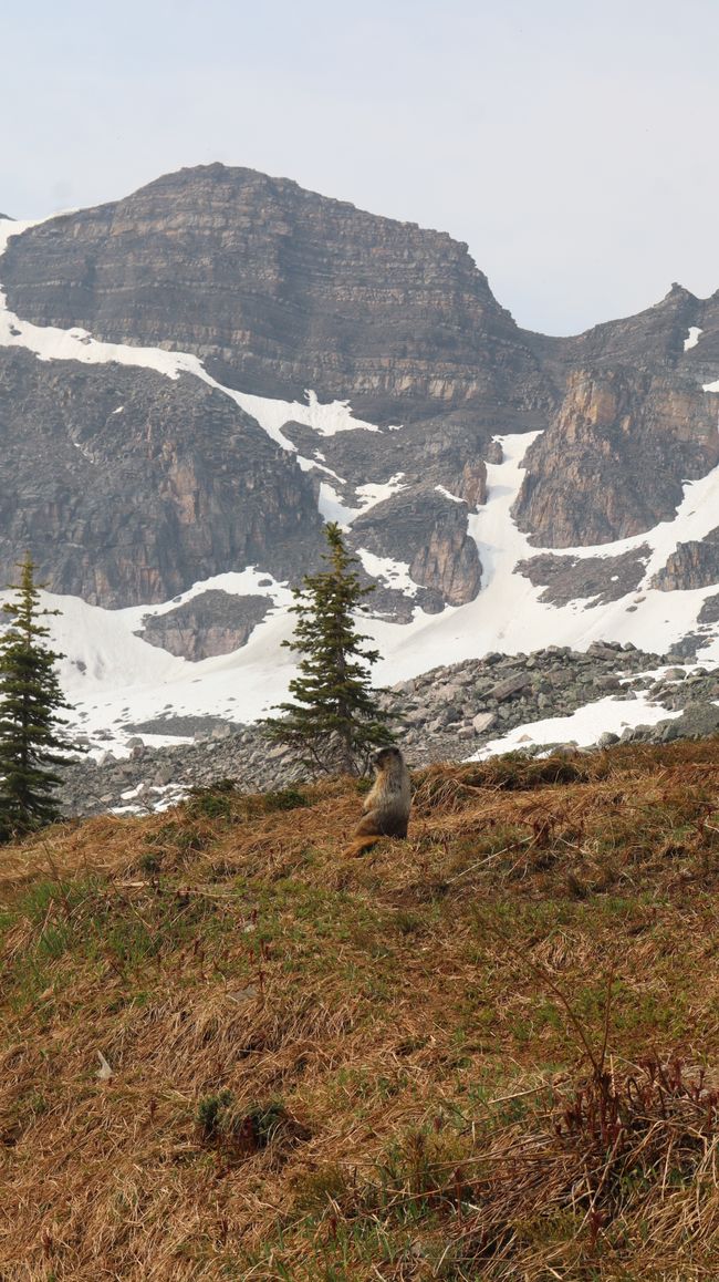 Helen Lake