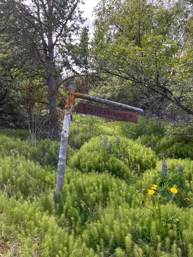 Dalvik