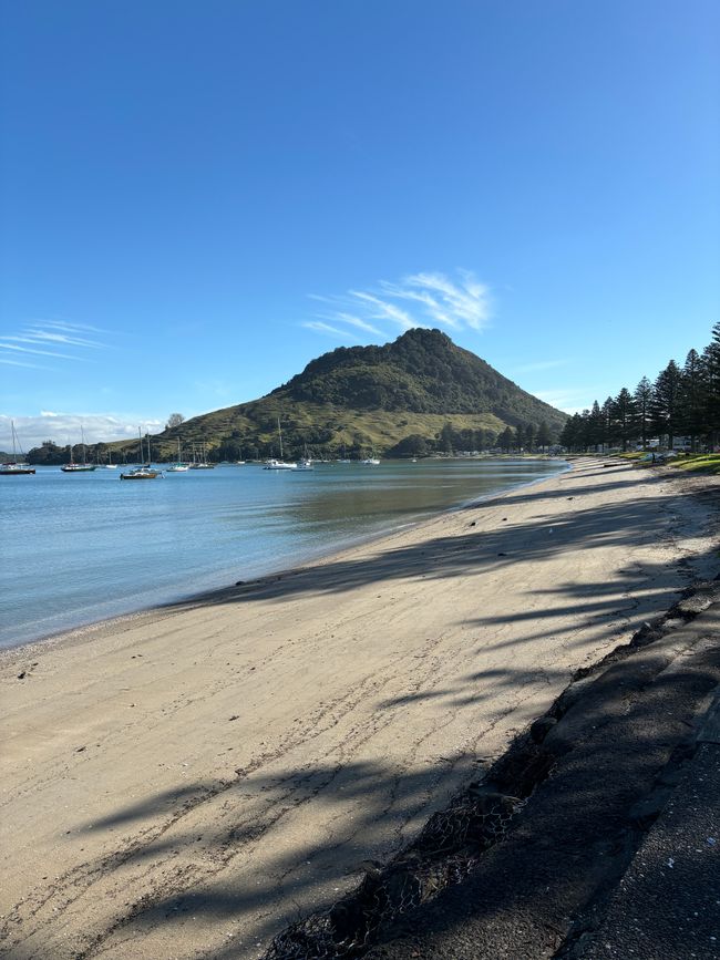 Mount Maunganui