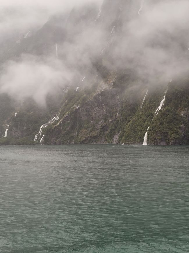 Tag 87 von 175: Kreuzfahrt rund um die Welt - Kreuzen im Milford Sound/Neuseeland