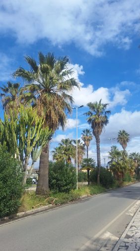 Catania