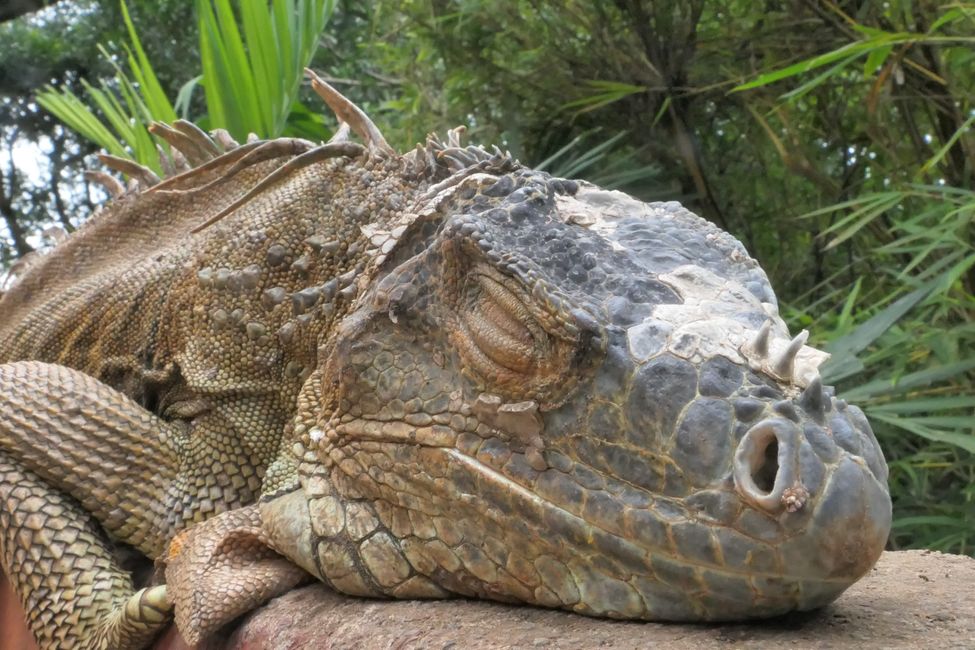 Costa Rica 2025