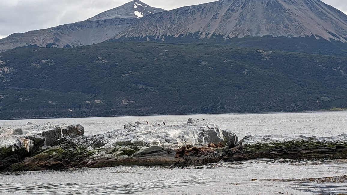 Beagle Channel Navigation mit Patagonia Adventure Explorer