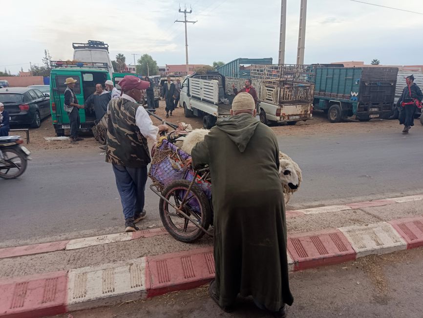 Marrakesch - im Fluss der Stadt