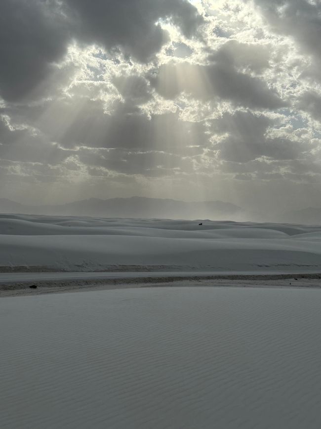 Arizona/ New Mexico/ Petrified Forest/White Sands