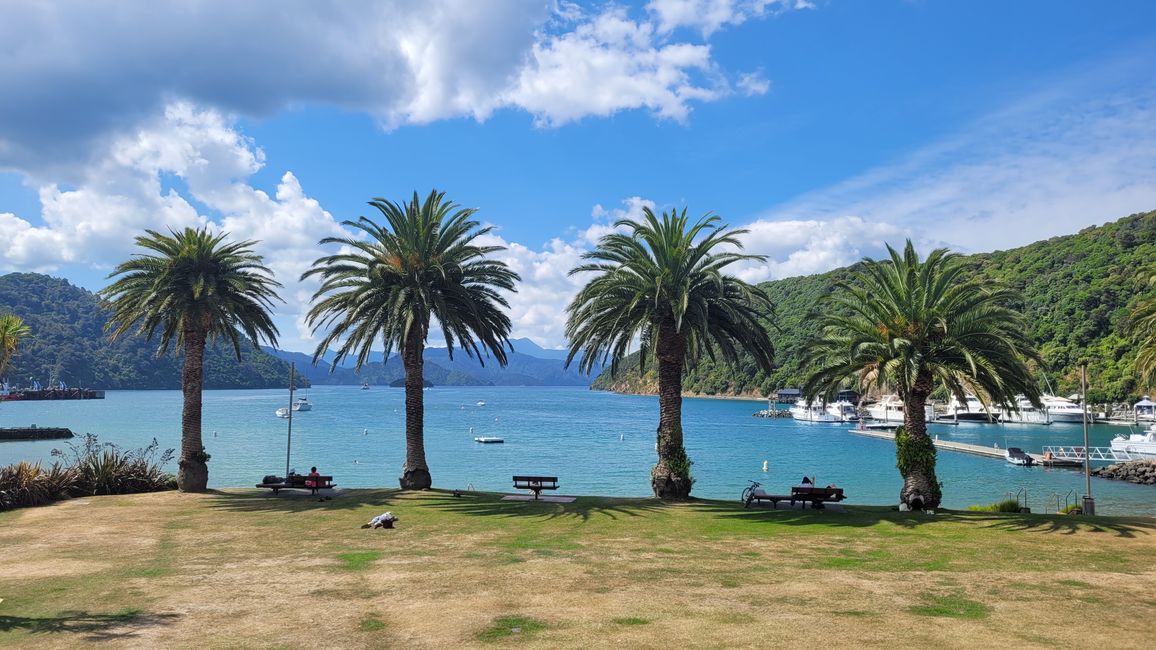 29.Januar-27.Februar 2025 Neuseeland
16.Februar
