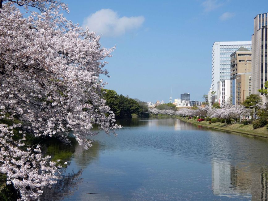 Fukuoka, 5 avril 2026