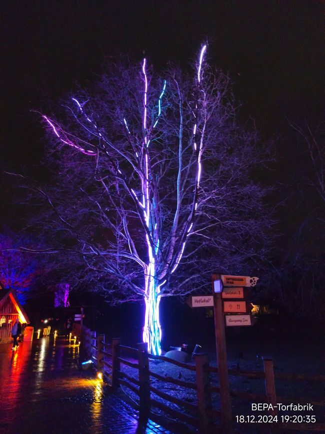Giardino di Natale allo Zoo di Hannover