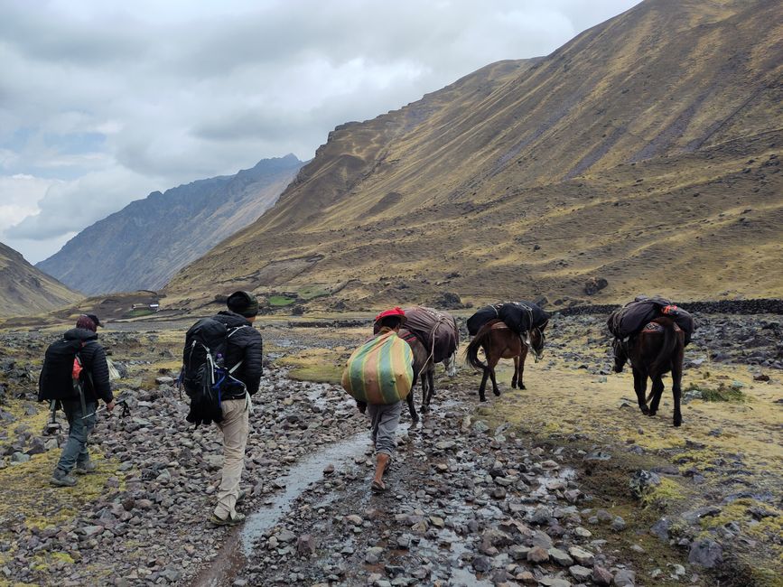 Cusco, Lares-Trek und Machu Picchu