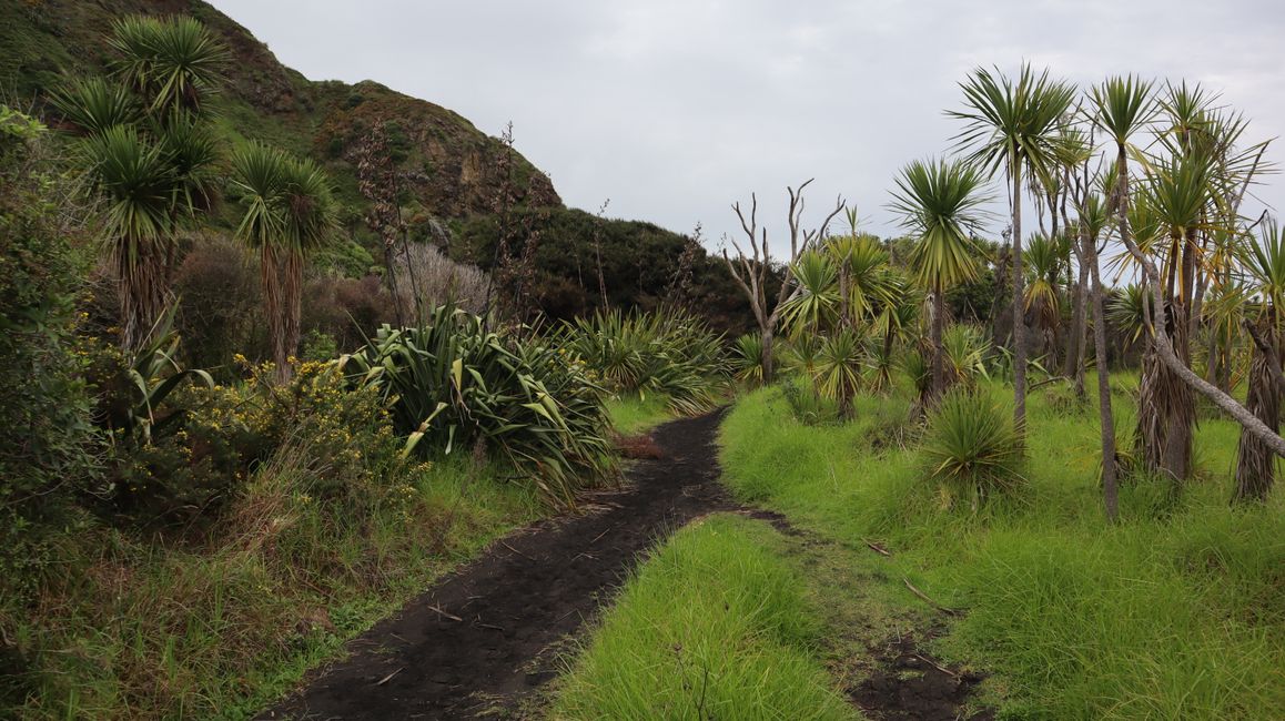 Woche 4 - Jetzt kann es richtig los gehen!