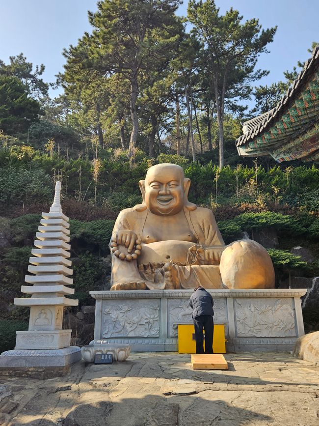 81. 标记釜山,韩国,2026年2月13日