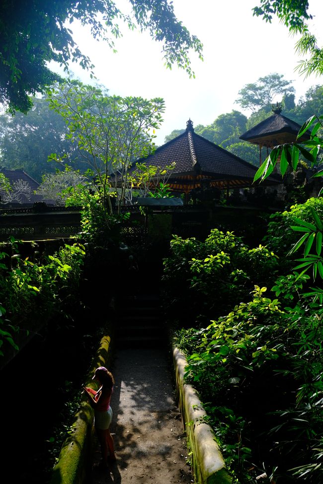 Bali - Ubud 🇮🇩