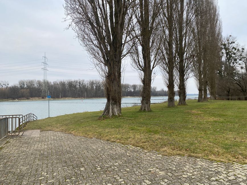 noch aus Richtung Mannheim war ein Schiff zu sehen.