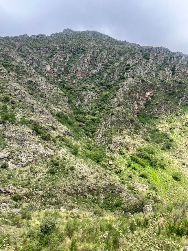 Trekking (Los Gigantes)