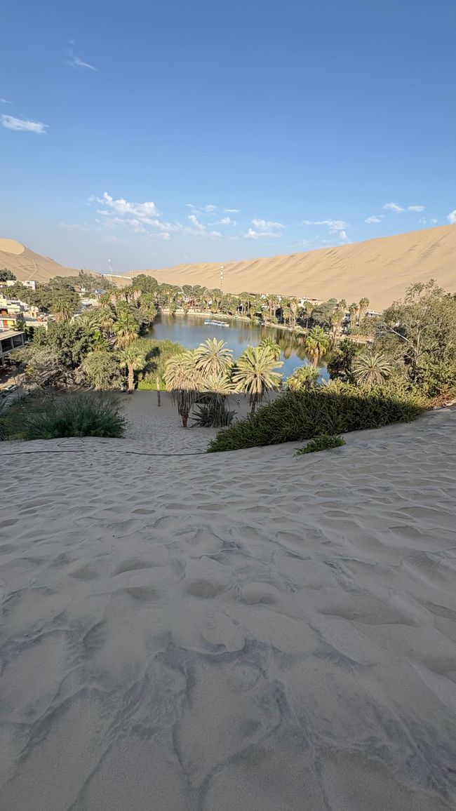 2025_Peru - Tag 4: Islas Ballestas und Ica/Huacachina